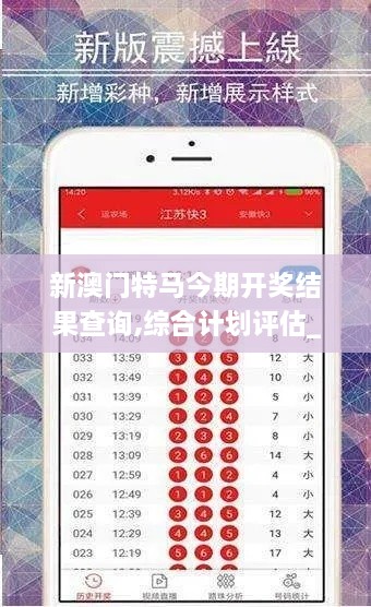 新澳门特马今期开奖结果查询,综合计划评估_VWN18.78