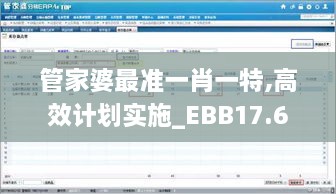 管家婆最准一肖一特,高效计划实施_EBB17.64