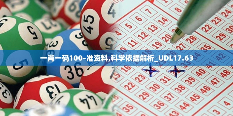 一肖一码100-准资料,科学依据解析_UDL17.63