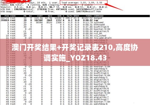 澳门开奖结果+开奖记录表210,高度协调实施_YOZ18.43