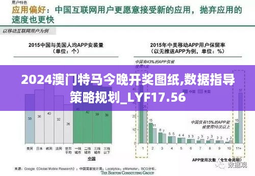 2024澳门特马今晚开奖图纸,数据指导策略规划_LYF17.56