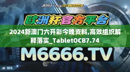 2024新澳门六开彩今晚资料,高效组织解释落实_TabletOCB7.74