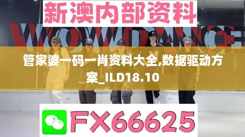 管家婆一码一肖资料大全,数据驱动方案_ILD18.10