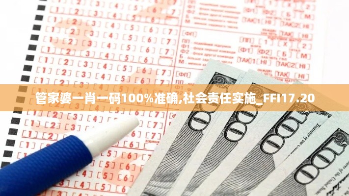 管家婆一肖一码100%准确,社会责任实施_FFI17.20