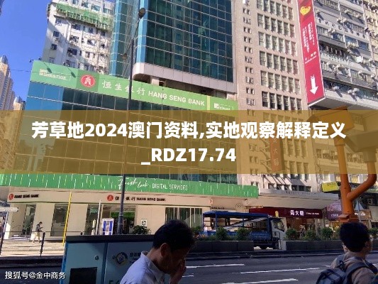 芳草地2024澳门资料,实地观察解释定义_RDZ17.74