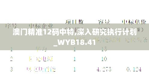 澳门精准12码中特,深入研究执行计划_WYB18.41