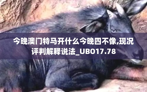 今晚澳门特马开什么今晚四不像,现况评判解释说法_UBO17.78