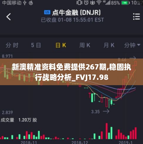 新澳精准资料免费提供267期,稳固执行战略分析_FVJ17.98