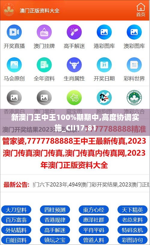 新澳门王中王100%期期中,高度协调实施_CII17.81