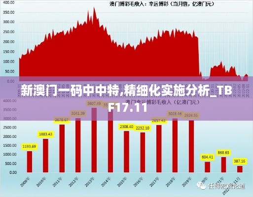 新澳门一码中中特,精细化实施分析_TBF17.11