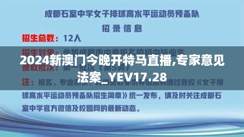 2024新澳门今晚开特马直播,专家意见法案_YEV17.28