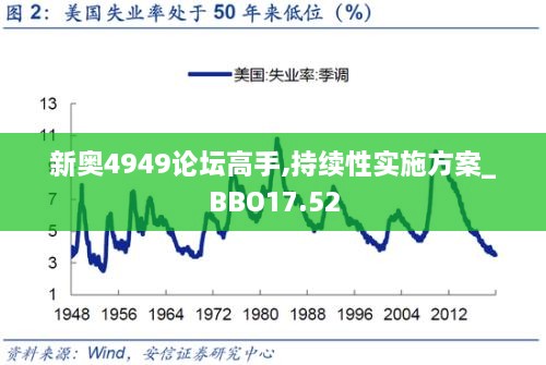 新奥4949论坛高手,持续性实施方案_BBO17.52