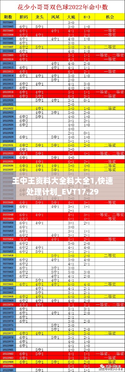 王中王资料大全料大全1,快速处理计划_EVT17.29