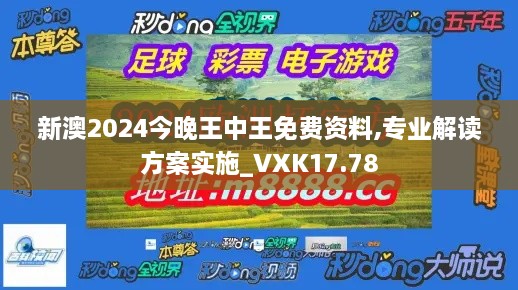 新澳2024今晚王中王免费资料,专业解读方案实施_VXK17.78