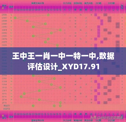 王中王一肖一中一特一中,数据评估设计_XYD17.91