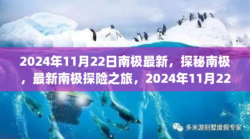 南极探秘揭秘，最新探险之旅与新发现揭秘，南极新篇章开启于2024年11月22日