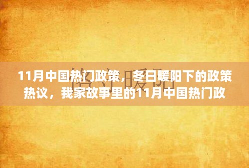 冬日暖阳下的热议，11月中国政策聚焦与家庭故事中的政策影响