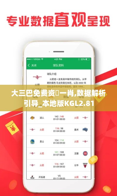 大三巴免费资枓一肖,数据解析引导_本地版KGL2.81