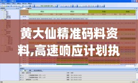 黄大仙精准码料资料,高速响应计划执行_套件版PJR2.18
