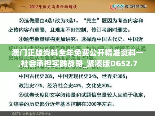 澳门正版资料全年免费公开精准资料一,社会承担实践战略_紧凑版DGS2.7