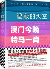 澳门今晚特马一肖必中,连贯性方法执行评估_知识版XCY2.77