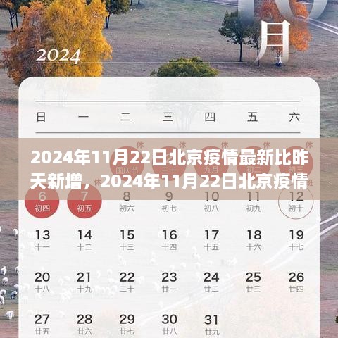 2024年11月22日北京疫情最新动态及今日新增病例分析