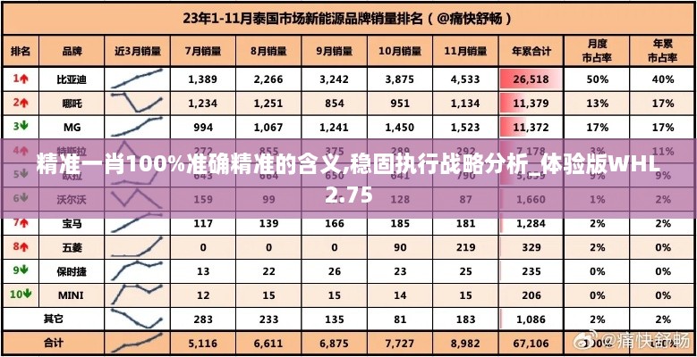 精准一肖100%准确精准的含义,稳固执行战略分析_体验版WHL2.75