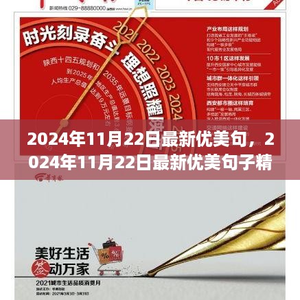 时光之韵，精选优美句子，记录语言的艺术——2024年11月22日最新篇