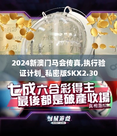 2024新澳门马会传真,执行验证计划_私密版SKX2.30