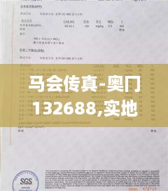 马会传真-奥冂132688,实地数据验证_授权版IOY2.95