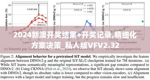 2024新澳开奖结果+开奖记录,精细化方案决策_私人版VFV2.32