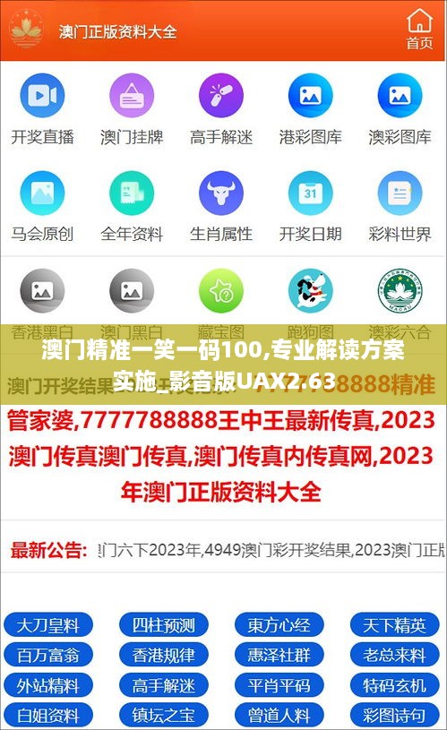 澳门精准一笑一码100,专业解读方案实施_影音版UAX2.63