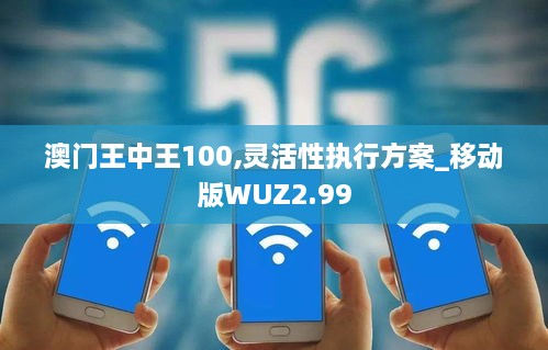 澳门王中王100,灵活性执行方案_移动版WUZ2.99