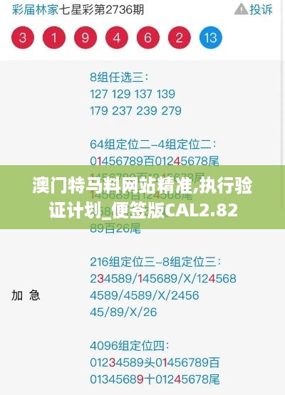 澳门特马料网站精准,执行验证计划_便签版CAL2.82