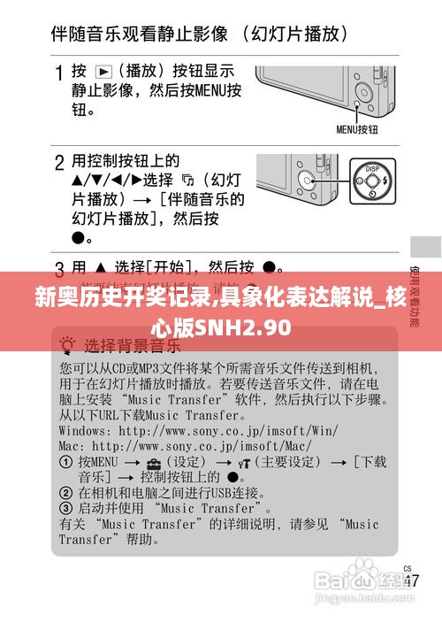 新奥历史开奖记录,具象化表达解说_核心版SNH2.90