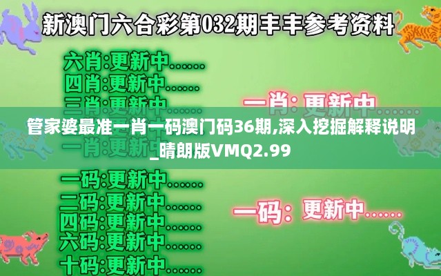 管家婆最准一肖一码澳门码36期,深入挖掘解释说明_晴朗版VMQ2.99