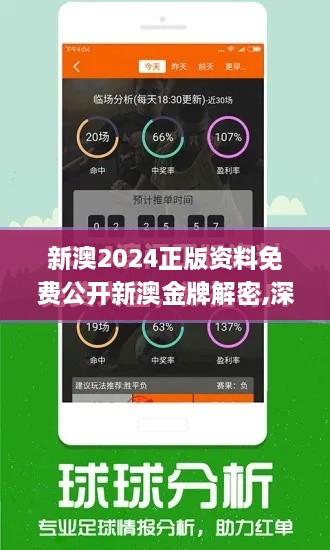 新澳2024正版资料免费公开新澳金牌解密,深入研究执行计划_实验版HMJ2.51