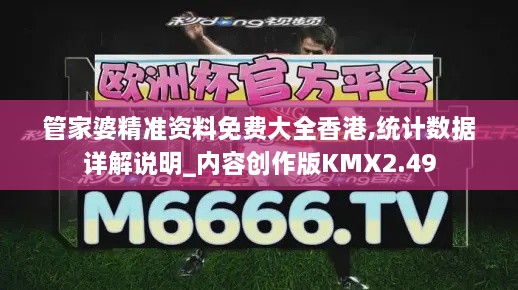 管家婆精准资料免费大全香港,统计数据详解说明_内容创作版KMX2.49