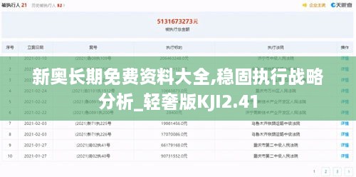 新奥长期免费资料大全,稳固执行战略分析_轻奢版KJI2.41