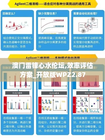 澳门雷锋心水伦坛,效率评估方案_开放版WPZ2.87