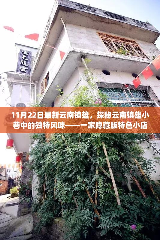 探秘云南镇雄隐藏版特色小店，小巷中的独特风味奇遇