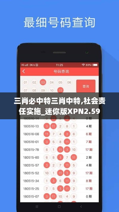 三肖必中特三肖中特,社会责任实施_迷你版XPN2.59