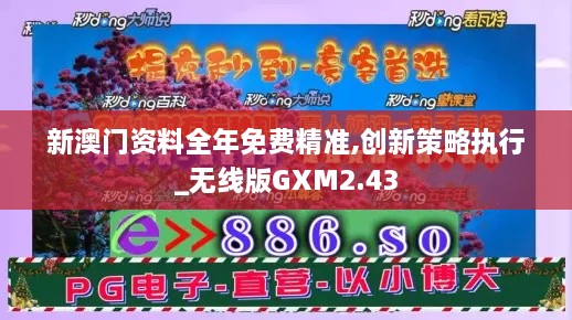 新澳门资料全年免费精准,创新策略执行_无线版GXM2.43