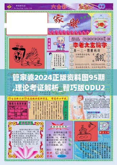 管家婆2024正版资料图95期,理论考证解析_智巧版ODU2.33