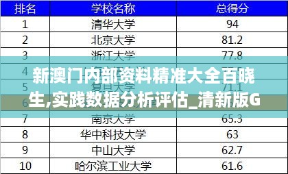 新澳门内部资料精准大全百晓生,实践数据分析评估_清新版GSR2.63