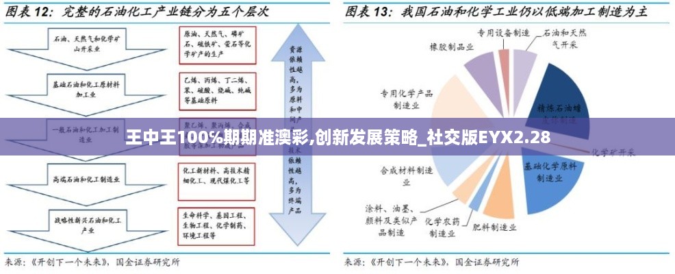 王中王100℅期期准澳彩,创新发展策略_社交版EYX2.28