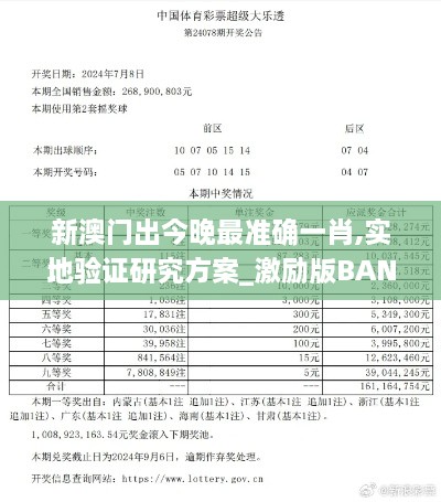 新澳门出今晚最准确一肖,实地验证研究方案_激励版BAN2.98