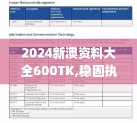 2024新澳资料大全600TK,稳固执行方案计划_高效版WBL2.45