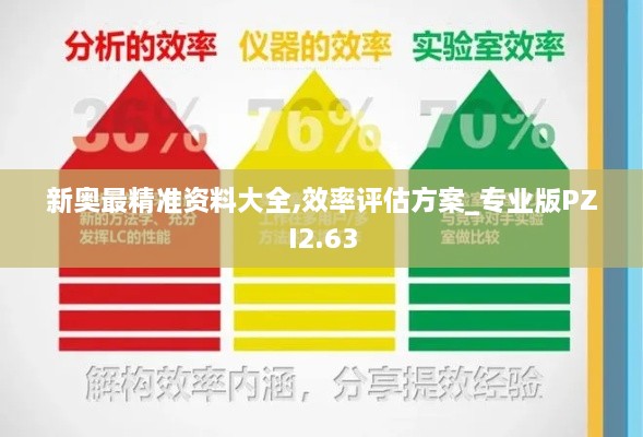 新奥最精准资料大全,效率评估方案_专业版PZI2.63