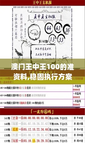 澳门王中王100的准资料,稳固执行方案计划_文化版OHF2.93